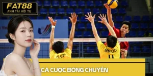 cá cược bóng chuyền
