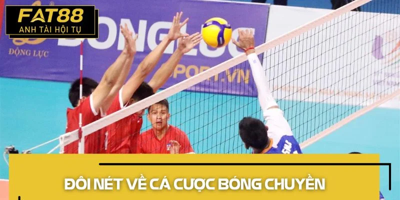 cá cược bóng chuyền đôi nét