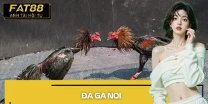 đá gà nòi