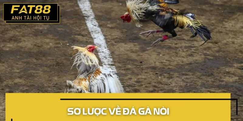 đá gà nòi đôi nét