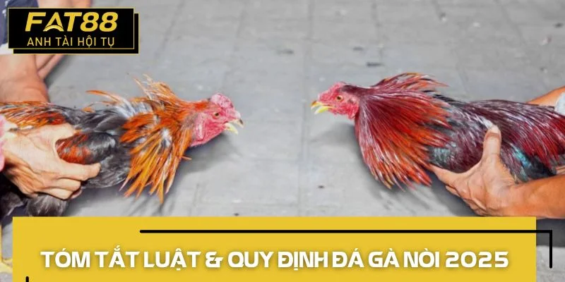 đá gà nòi luật