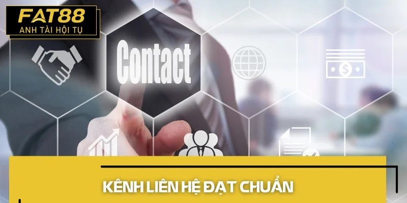 liên hệ đánh giá